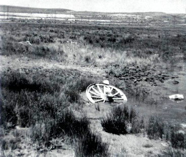 Abandoned wagon wheel.